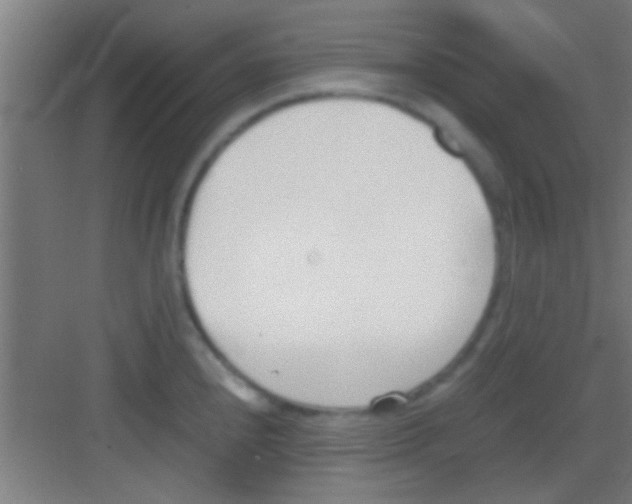 X0000081291240200702082010