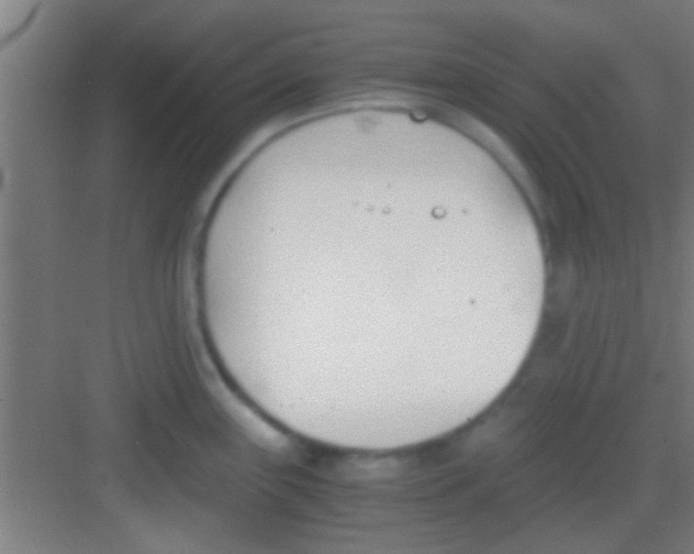 X0000081291243200702082010