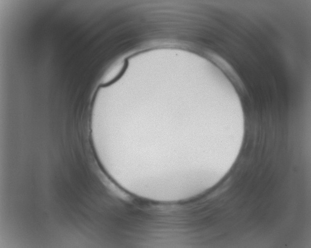 X0000081291244200702082010