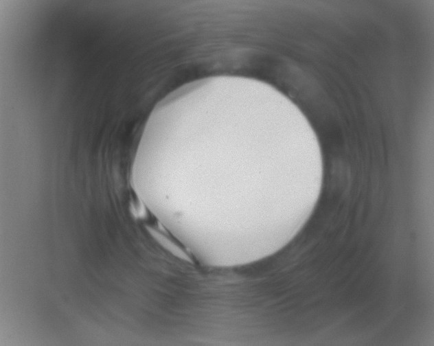 X0000081291250200702082009