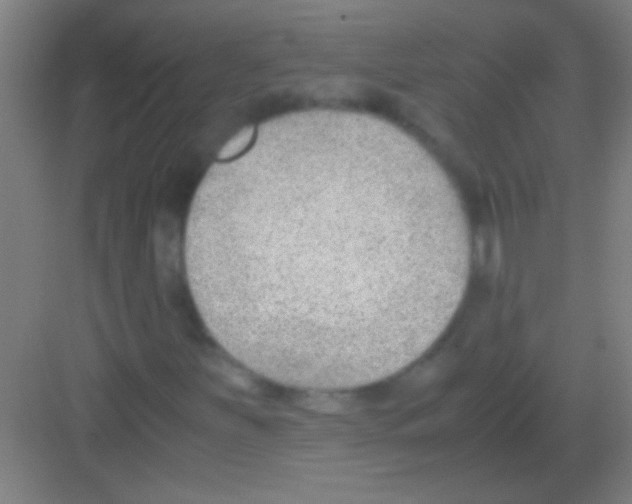 X0000081291251200702082009