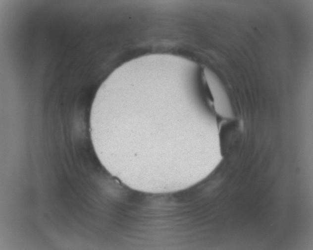 X0000081291252200702082009