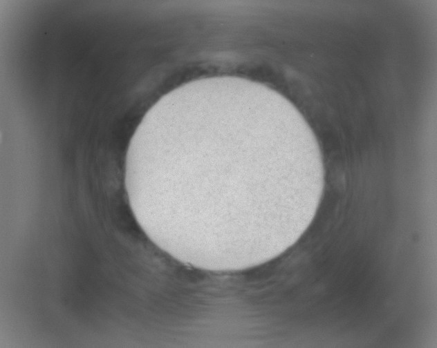 X0000081291253200702082009