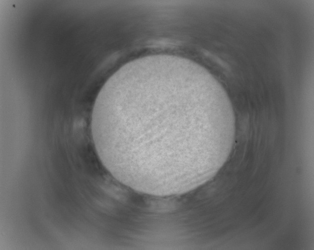 X0000081291254200702082009