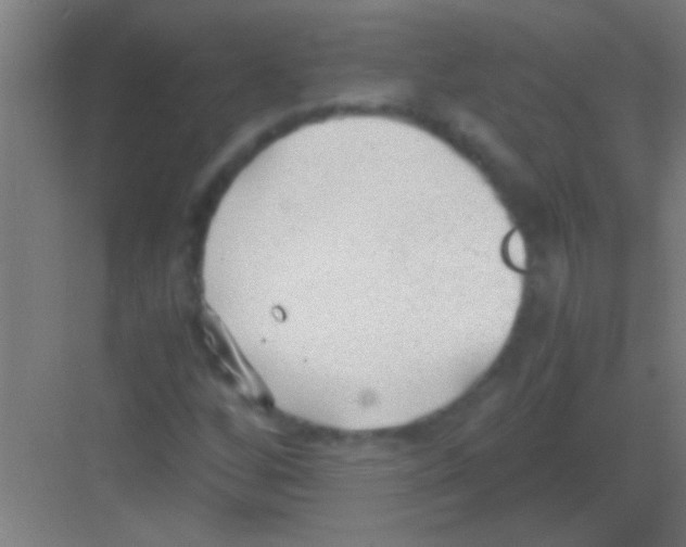 X0000081291256200702082009