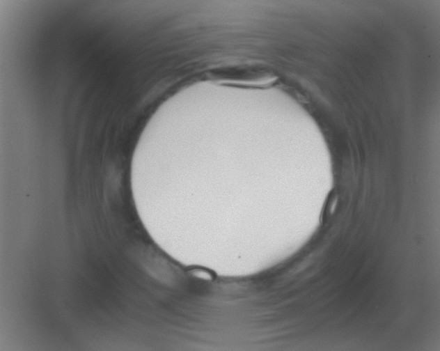 X0000081291257200702082009