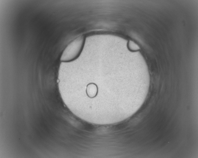 X0000081291259200702082009