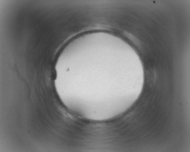 X0000081291260200702082009