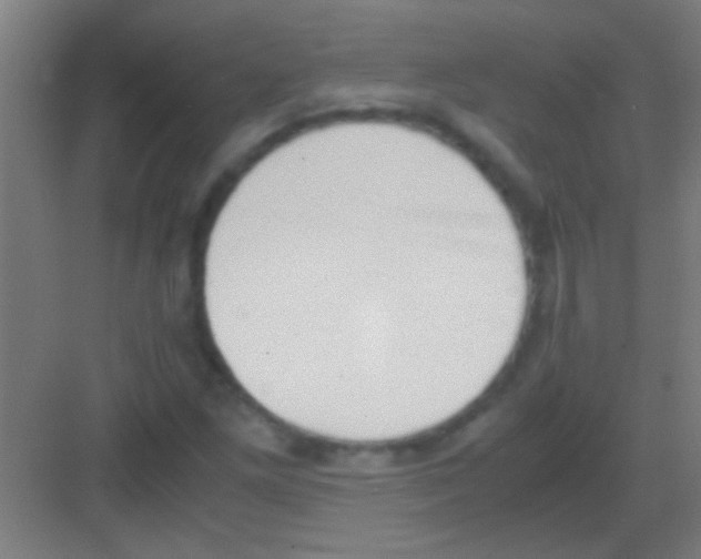 X0000081291261200702082009