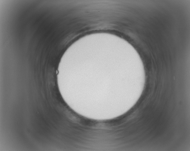 X0000081291265200702082009