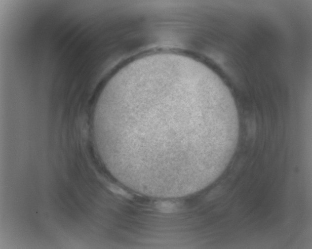 X0000081291266200702082009