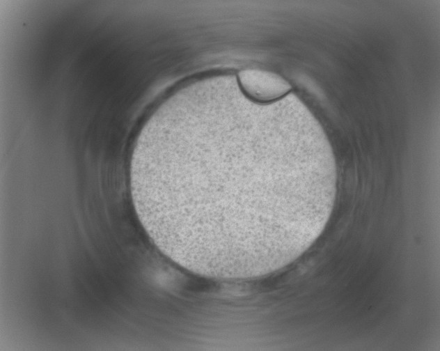 X0000081291267200702082009