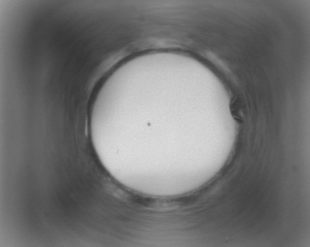 X0000081291269200702082009