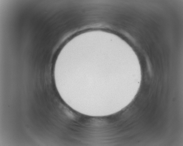 X0000081291270200702082009