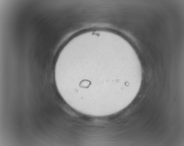 X0000081291271200702082009