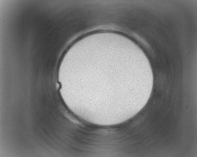 X0000081291272200702082009