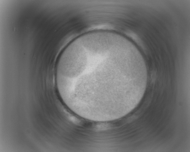 X0000081291274200702082009