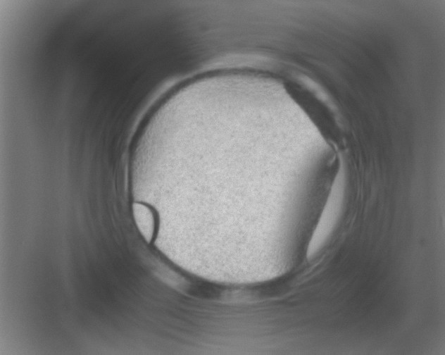 X0000081291275200702082009