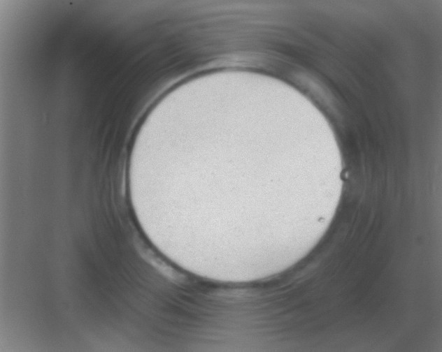 X0000081291276200702082009