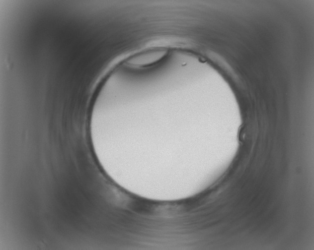 X0000081291277200702082009