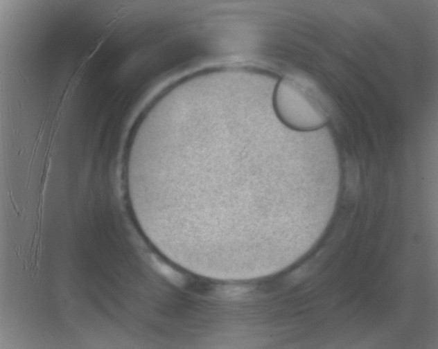 X0000081291278200702082009