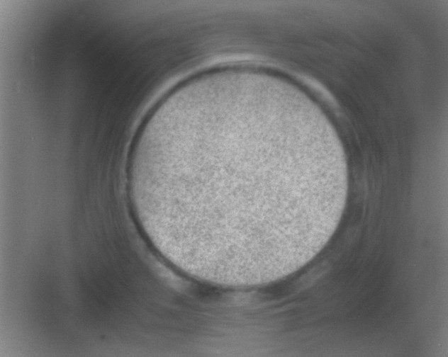 X0000081291279200702082009