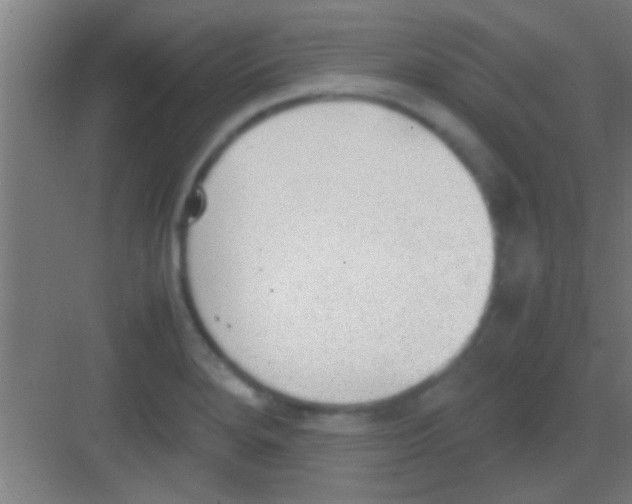 X0000081291280200702082009