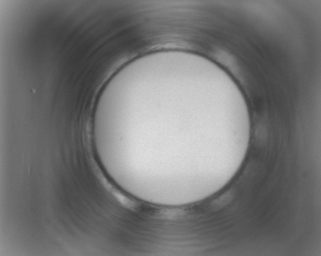 X0000081291282200702082009