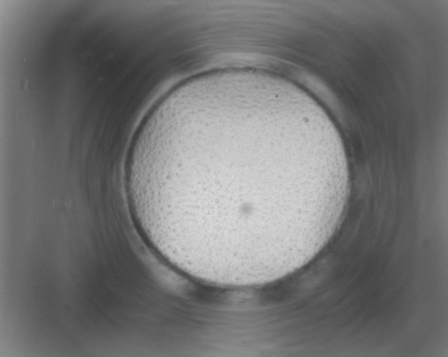 X0000081291283200702082009