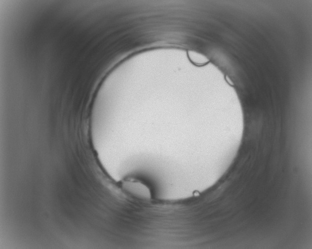 X0000081291284200702082009