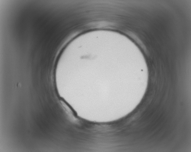 X0000081291285200702082009