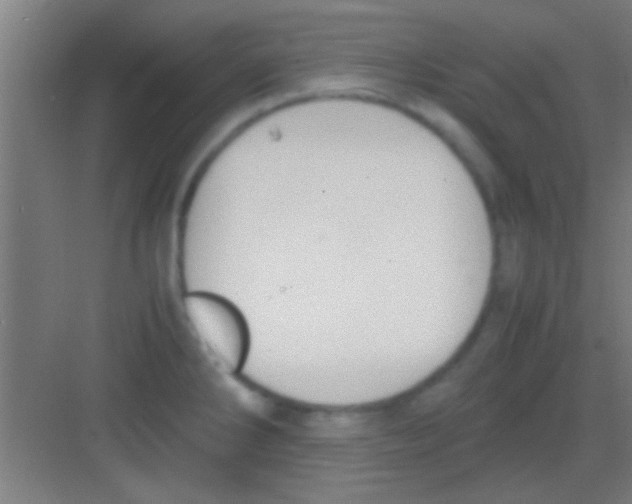 X0000081291286200702082009