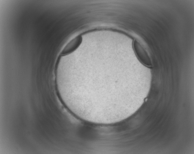 X0000081291287200702082009