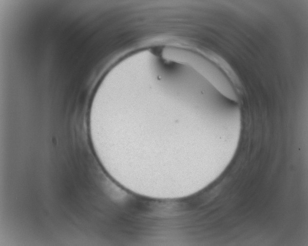 X0000081291288200702082009