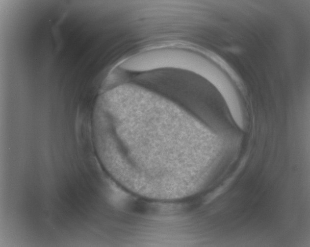 X0000081291289200702082009