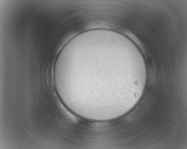 X0000081291290200702082009