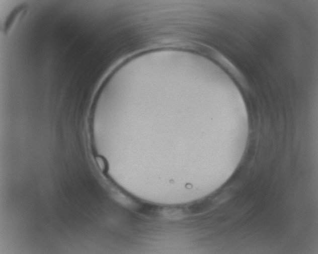 X0000081291291200702082009