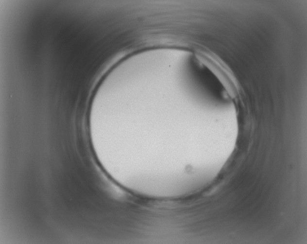 X0000081291293200702082009