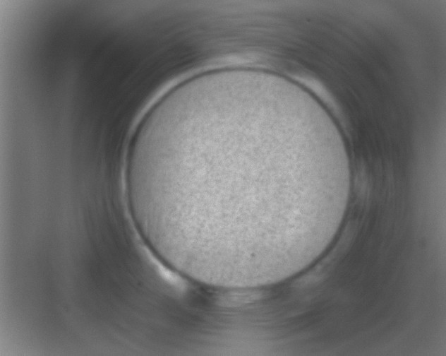 X0000081291294200702082009