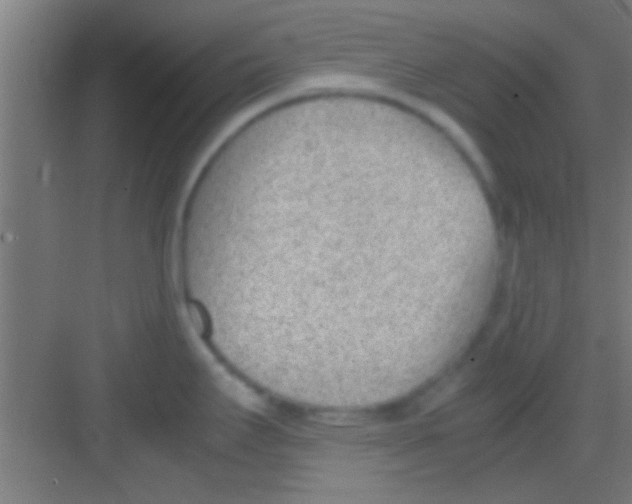 X0000081291295200702082009