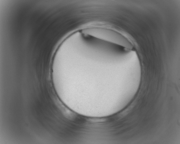 X0000081291296200702082009