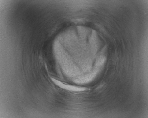 X0000081291298200702082008