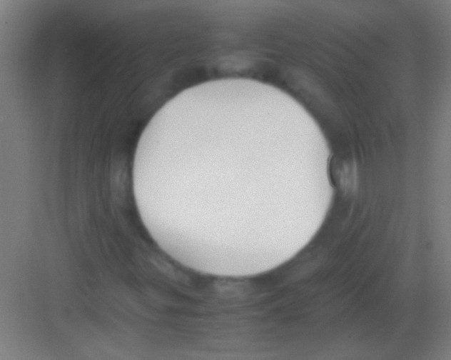 X0000081291299200702082008