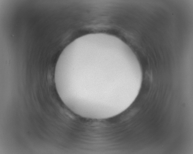 X0000081291300200702082008