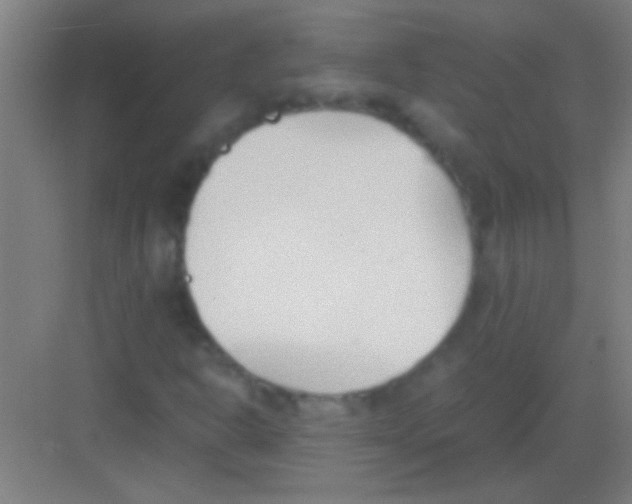 X0000081291302200702082008