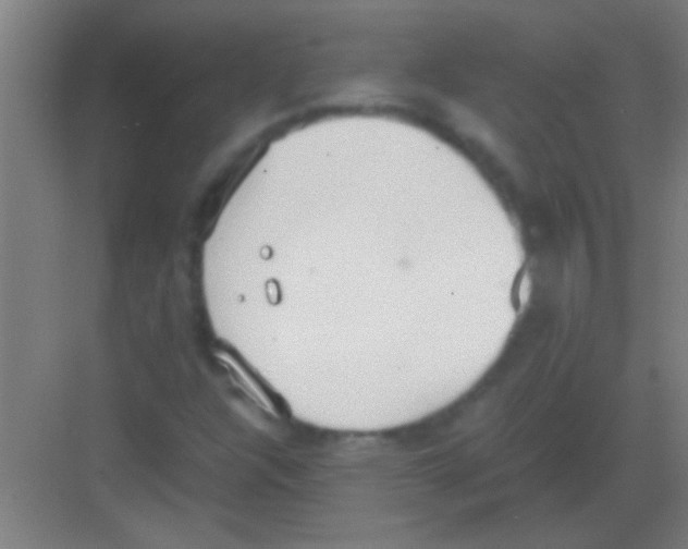 X0000081291304200702082008