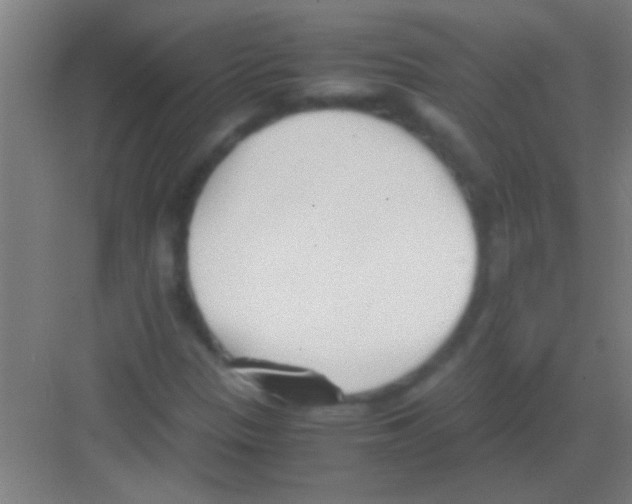 X0000081291305200702082008