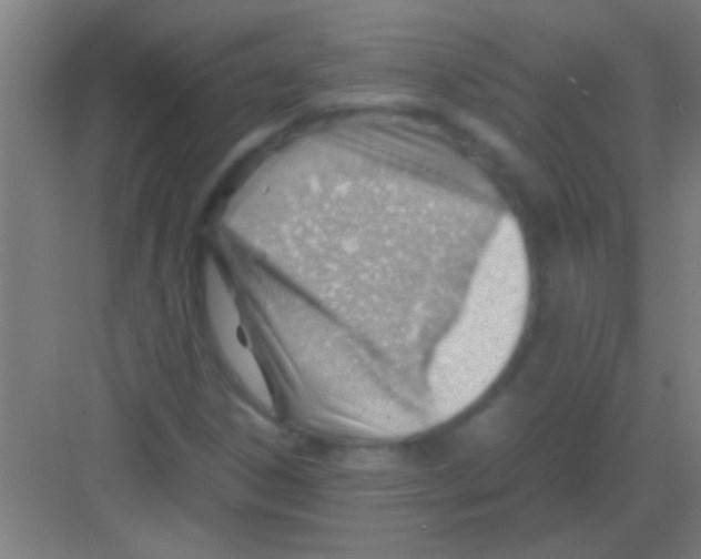 X0000081291306200702082008