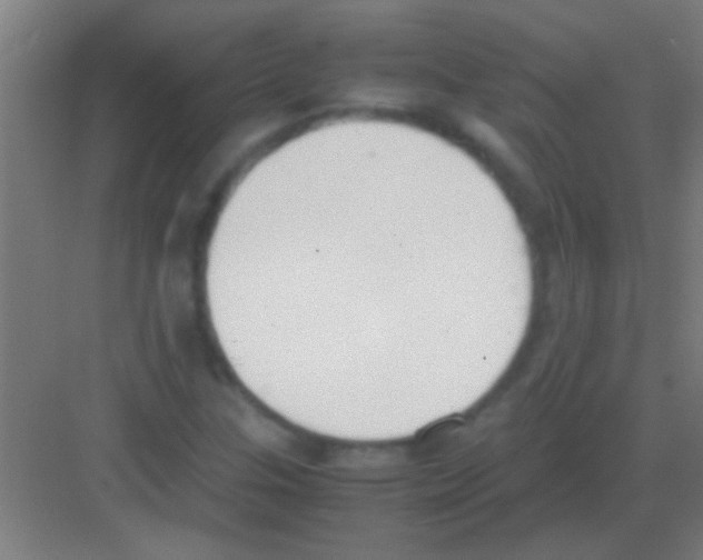 X0000081291307200702082008