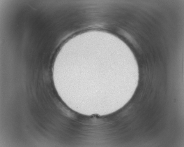 X0000081291308200702082008